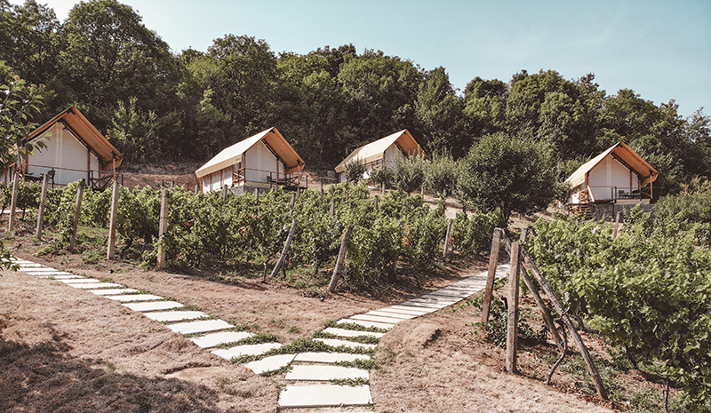 Glamping Lala Vineyard Glamping Resort