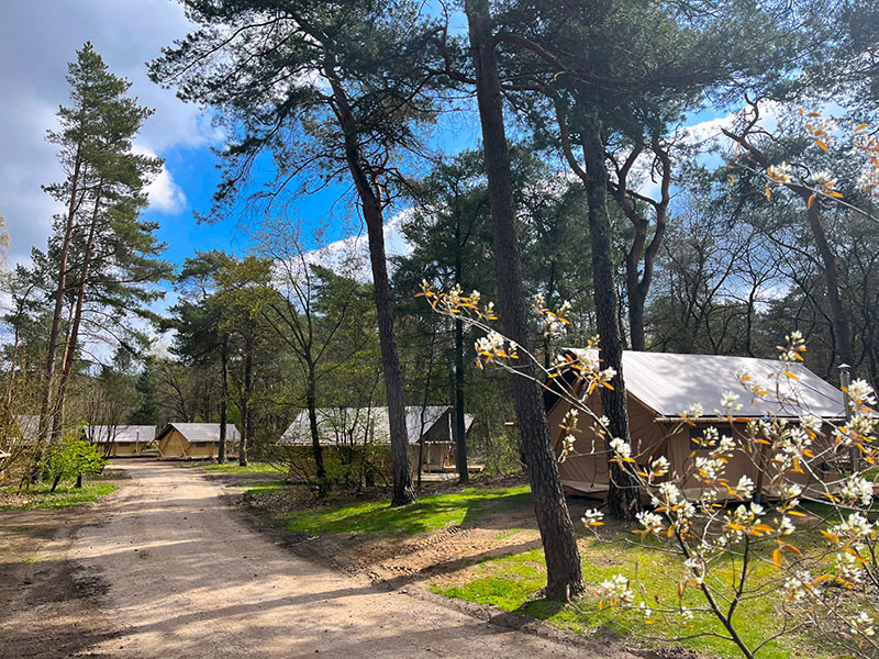 Glamping Huttopia De Veluwe